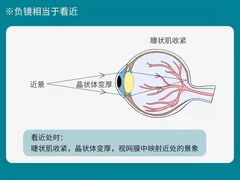 -柒米眼镜·星趣控·新乐学(万锦城店)