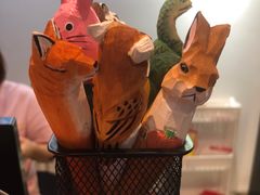 -雨林宠物医院 非犬猫异宠专科
