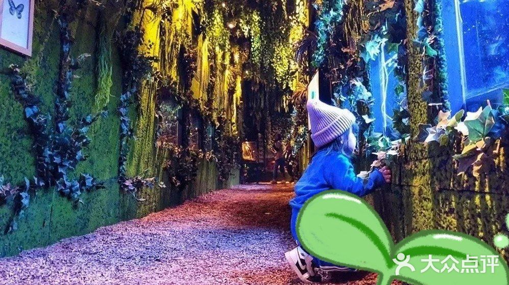 欢乐的小小动物园
