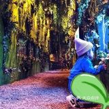 欢乐的小小动物园
