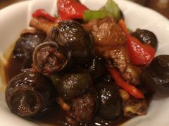 田螺烧翅根-鸿运酒楼