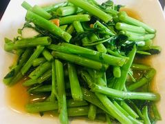 -珍巷福地四合院菜馆(复兴门店)