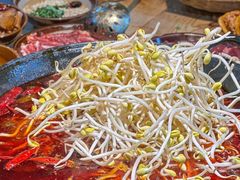 -阳阳老火锅(小南门店)