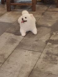 -坤如玛丽·医疗美容中心
