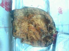 android_upload_pic-新疆风味冷水鱼庄(友谊峰路店)