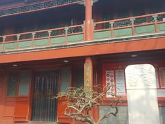 -楚畹园