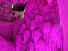 -芦芽山旅游度假区