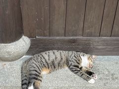 -法云安缦酒店