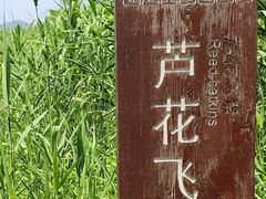 -长田漾湿地公园