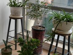 -逸栈养生SPA(望京店)