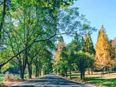 -九曲溪竹筏码头