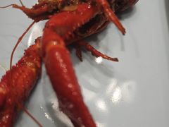 -簋街仔仔小龙虾(总店)