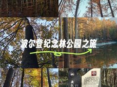 -波尔登森林公园