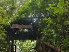 -野象谷景区