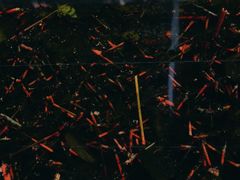 -金堂县云顶石城风景区