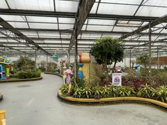 -南宫五洲植物乐园