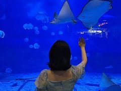 -烟台海昌鲸鲨海洋公园