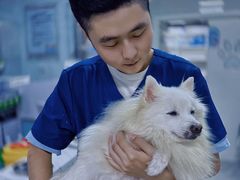 -达爱动物医院·犬猫分区·CT·复杂眼科(远洋山水分院)