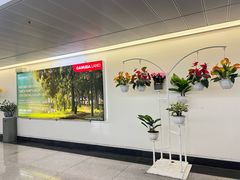 -胡志明新山一国际机场