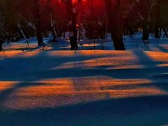 -长白山华美胜地滑雪场