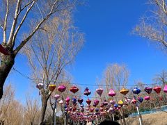 -青龙湖公园