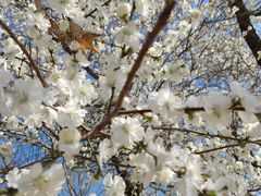 -永定河休闲森林公园