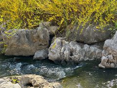 -羊山湖公园