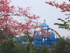 -风云岭森林公园