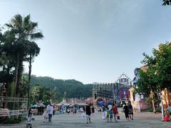 -重庆海昌加勒比海水世界