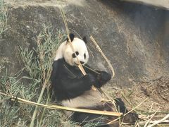 -泉州海丝野生动物世界