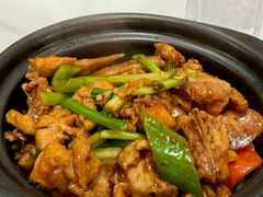 啫啫沙姜鸡煲-香港新曜记茶餐厅(星耀城店)