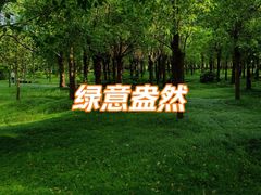 -嘉北郊野公园