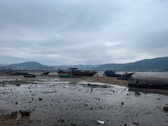 -北岐滩涂