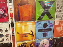 -树懒黑胶唱片店(中山路店)