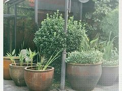 -翠园十八号庭院餐厅