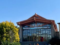 -三垟湿地
