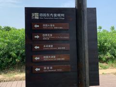 -田园东方蜜桃村的田野营地