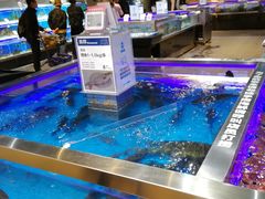 -盒马鲜生(枣园路店)