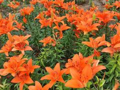 -黄河三峡风景名胜区