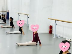 -西安小天鹅艺术团(金花路校区)