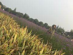 -乌镇望津里精品酒店