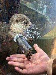 -Zoolung Zoolung动物主题公园(海信广场店)