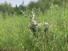 -溱湖国家湿地公园