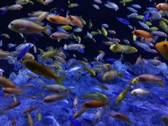 -成都浩海立方海洋公园