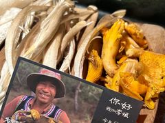 -芸山季·云南野生菌火锅(人民广场来福士店)