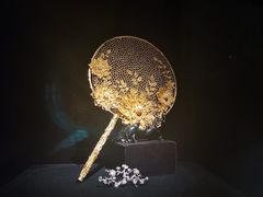 -深圳珠宝博物馆