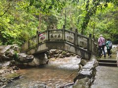 -江西阳明山国家森林公园