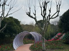 -上海鲜花港