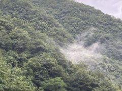 -东天目山风景区