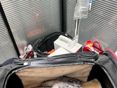 -伟伟宠物医院·CT影像中心·瑞派犬猫综合性门诊(汉口总院)